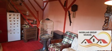 vanzare-cabana-in-centrul-com-bughea-de-jos-cu-o-priveliste-panoramica-si-o-suprafata-de-teren-intravilan-in-panta-de1465-mp-cu-o-suprafata-construita-de-44-mp-la-pretul-de26000-de-euro-negociabil-12