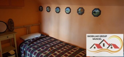 vanzare-cabana-in-centrul-com-bughea-de-jos-cu-o-priveliste-panoramica-si-o-suprafata-de-teren-intravilan-in-panta-de1465-mp-cu-o-suprafata-construita-de-44-mp-la-pretul-de26000-de-euro-negociabil-15