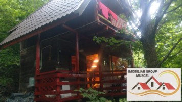 vanzare-cabana-in-centrul-com-bughea-de-jos-cu-o-priveliste-panoramica-si-o-suprafata-de-teren-intravilan-in-panta-de1465-mp-cu-o-suprafata-construita-de-44-mp-la-pretul-de26000-de-euro-negociabil-36