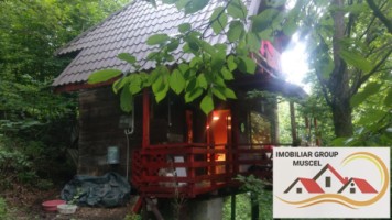 vanzare-cabana-in-centrul-com-bughea-de-jos-cu-o-priveliste-panoramica-si-o-suprafata-de-teren-intravilan-in-panta-de1465-mp-cu-o-suprafata-construita-de-44-mp-la-pretul-de26000-de-euro-negociabil-35