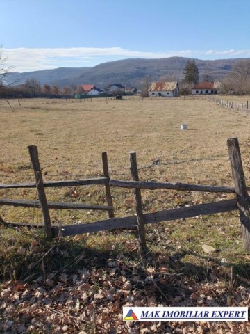 de-vanzare-teren-2543-mp-intravilan-in-mihaesti-valea-popii-0