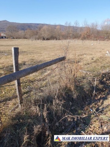 de-vanzare-teren-2543-mp-intravilan-in-mihaesti-valea-popii-3
