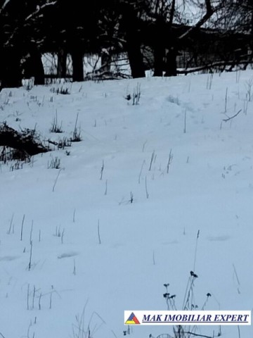 casa-musceleana-3-cam-teren-1000-mp-in-matau-mioarele-arges-5