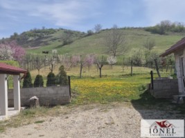 casa-de-vanzare-in-ocna-mures-uioara-de-jos-4