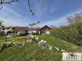casa-de-vanzare-in-ocna-mures-uioara-de-jos-5