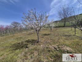 casa-de-vanzare-in-ocna-mures-uioara-de-jos-16