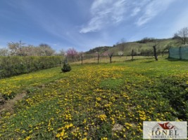 casa-de-vanzare-in-ocna-mures-uioara-de-jos-17