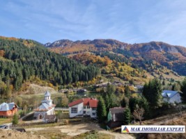 vila-5-camere-teren-9100-mp-in-rucar-satic-arges-9