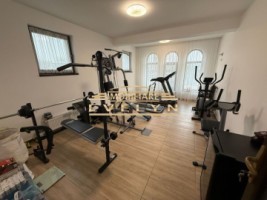 casa-p1-de-vanzare-sat-baiceni-com-curtesti-9