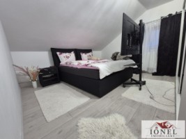 casa-de-vanzare-in-santimbru-totoi-3