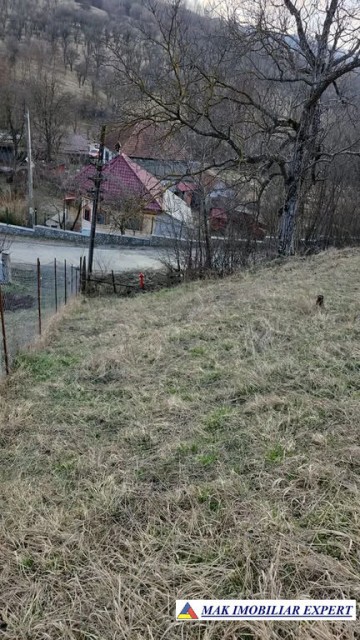 teren-4400-mp-in-valea-romanestilor-campulung-muscel-arges-1