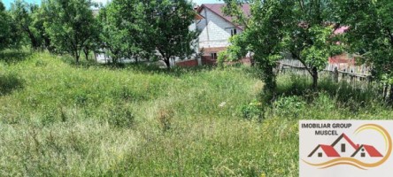 teren-4000-mp-bughea-de-jos-pret-23000-euro