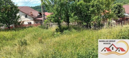 teren-4000-mp-bughea-de-jos-pret-23000-euro-1