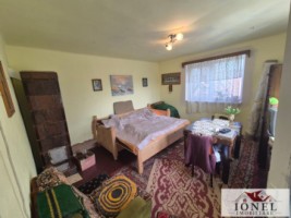 vanzare-casa-in-henig-5