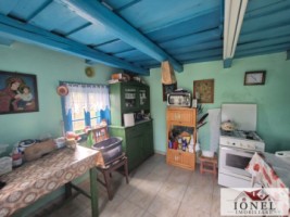 vanzare-casa-in-henig-6