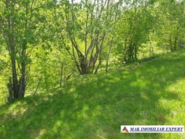 teren-1000-mp-faneata-ciocanu-dambovicioara-arges-26