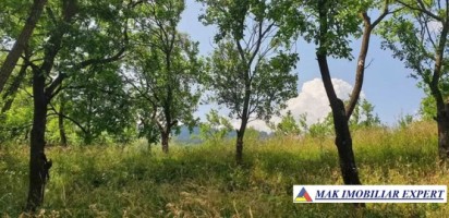 vand-teren-2300-mp-intravilan-in-nucsoara-arges-3
