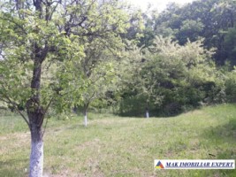 vand-teren-2300-mp-intravilan-in-nucsoara-arges