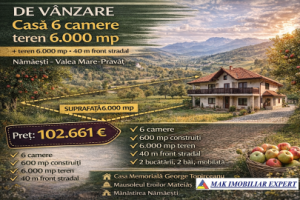 succesiune-oct-2026-casa-6-camere-teren-6000-mp-in-namaesti-valea-mare-pravat-ag-0