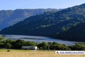 padure-260-ha-pe-valea-oltului-in-balota-racovita-valcea-0