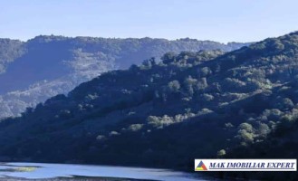 padure-260-ha-pe-valea-oltului-in-balota-racovita-valcea-1