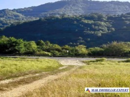 padure-260-ha-pe-valea-oltului-in-balota-racovita-valcea-2