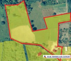 vand-vila-4-camere-teren-15-ha-in-draghici-mihaesti-arges-3