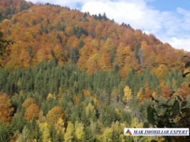 hotel-p3m-16-camere-pe-transfagarasan-in-arefu-piscul-negru-ag-52