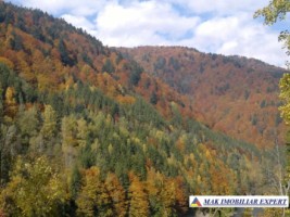 hotel-p3m-16-camere-pe-transfagarasan-in-arefu-piscul-negru-ag-54