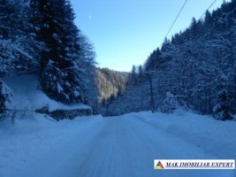 hotel-p3m-16-camere-pe-transfagarasan-in-arefu-piscul-negru-ag-55