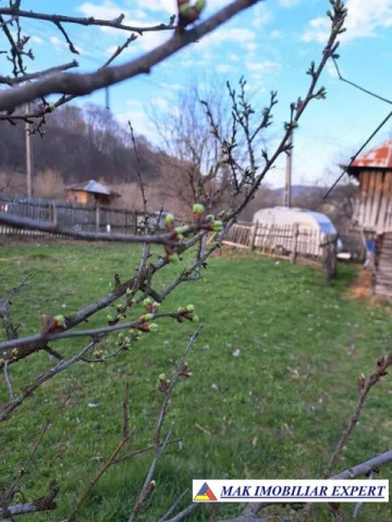 de-vanzare-casa-teren-860-mp-in-corbi-arges-2