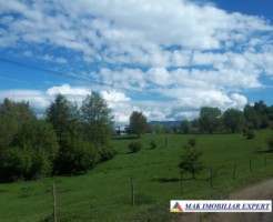 vand-teren-2946-mp-intravilan-pe-cretisoara-campulung-arges-0