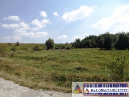 vand-teren-2946-mp-intravilan-pe-cretisoara-campulung-arges-2