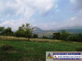 vand-teren-2946-mp-intravilan-pe-cretisoara-campulung-arges-1