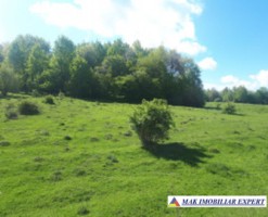 vand-teren-2946-mp-intravilan-pe-cretisoara-campulung-arges-6