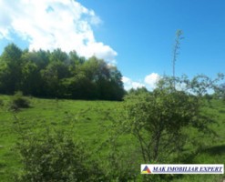 vand-teren-2946-mp-intravilan-pe-cretisoara-campulung-arges-7