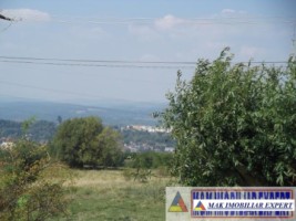 vand-teren-2946-mp-intravilan-pe-cretisoara-campulung-arges-3