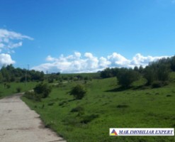 vand-teren-2946-mp-intravilan-pe-cretisoara-campulung-arges-10