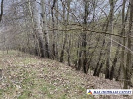 teren-22-ha-intraextravilan-in-corbi-arges-4