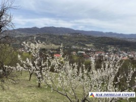 teren-22-ha-intraextravilan-in-corbi-arges-3