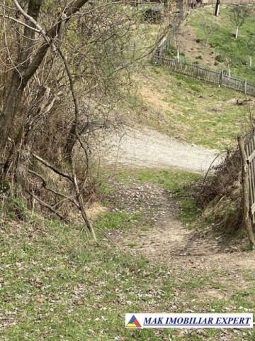 teren-22-ha-intraextravilan-in-corbi-arges-5