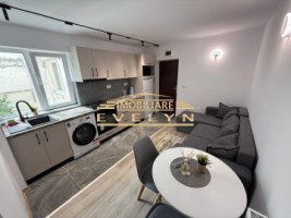 de-inchiriat-apartament-tip-studio-30-mp-etaj-2-zona-parcul-tineretului-mag-denisa-1