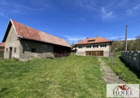 casa-de-vanzare-in-almasu-mare-cu-3992-mp-teren-2