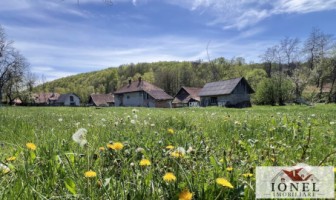 casa-de-vanzare-in-almasu-mare-cu-3992-mp-teren-3