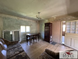 casa-de-vanzare-in-almasu-mare-cu-3992-mp-teren-9