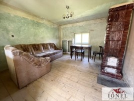 casa-de-vanzare-in-almasu-mare-cu-3992-mp-teren-6