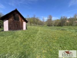 casa-de-vanzare-in-almasu-mare-cu-3992-mp-teren-15