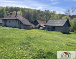 casa-de-vanzare-in-almasu-mare-cu-3992-mp-teren-14