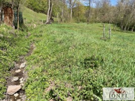 casa-de-vanzare-in-almasu-mare-cu-3992-mp-teren-18