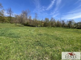 casa-de-vanzare-in-almasu-mare-cu-3992-mp-teren-17